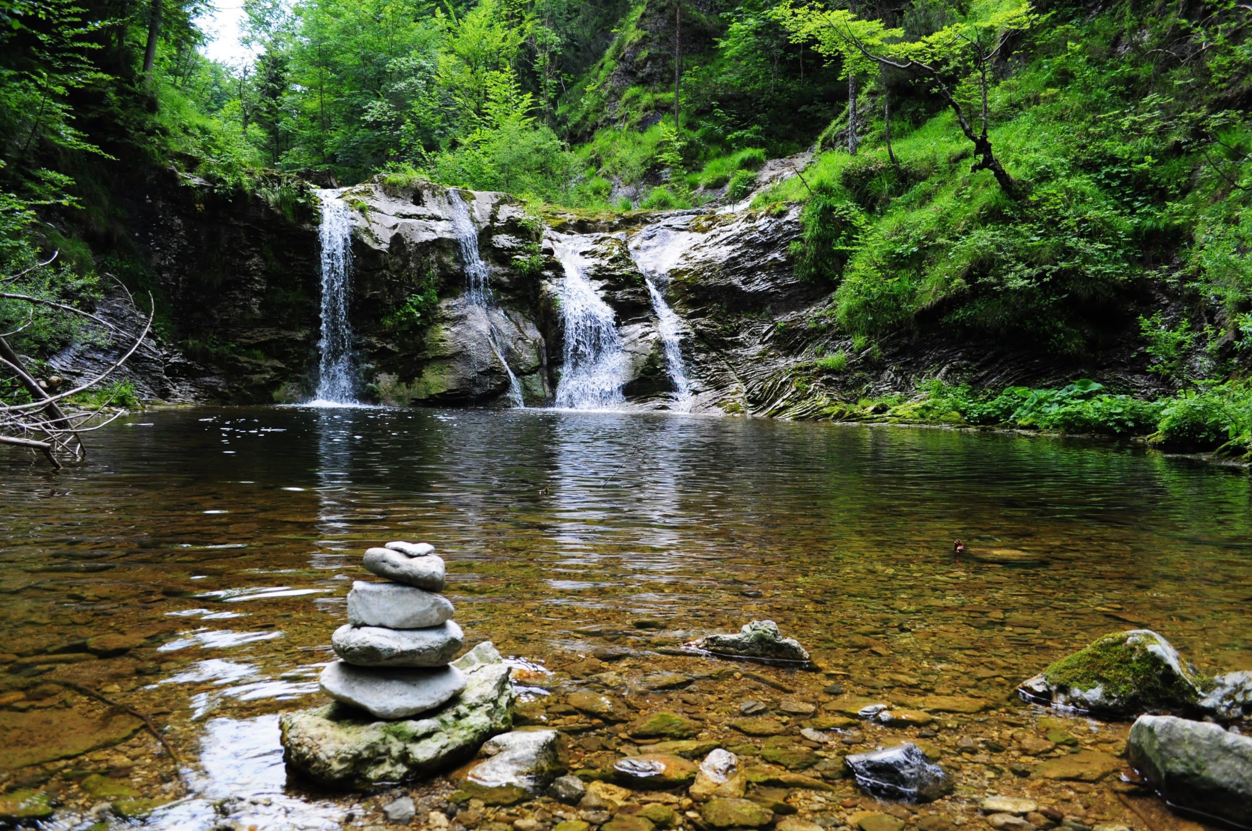 zen beauty